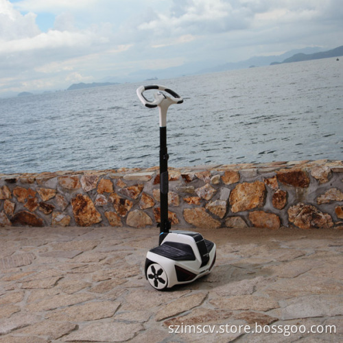 Electric Personal Transporter (INMOTION R1)